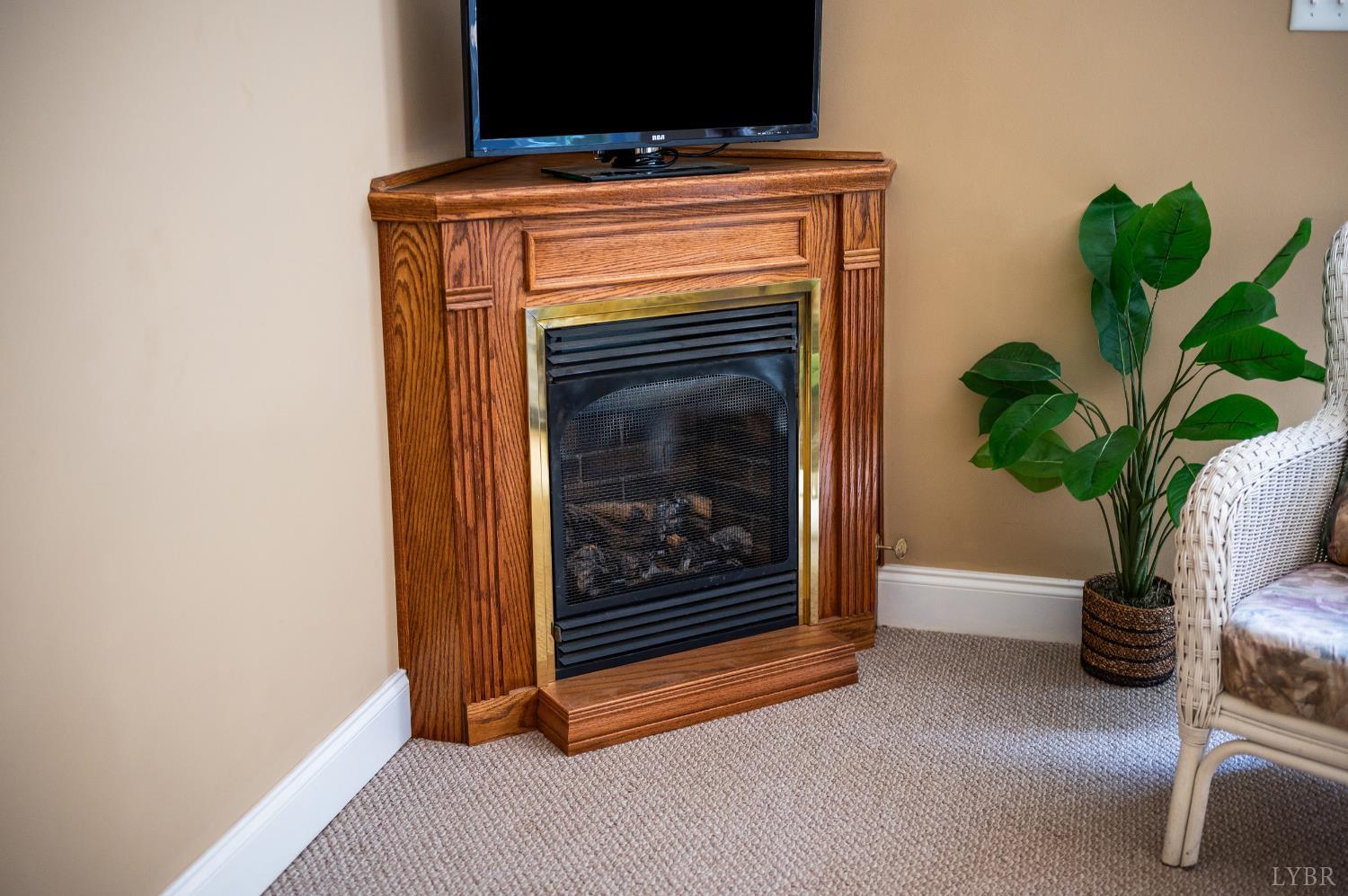 429 Matohe Road Monroe, VA 24574 - Photo 59 of 73 a living room with furniture and a potted plant