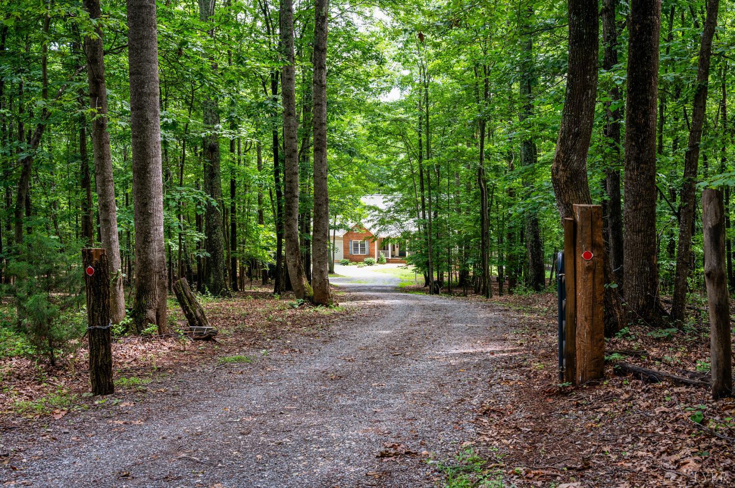 429 Matohe Road Monroe, VA 24574 - Photo 72 of 73 a view of a forest with trees in the background