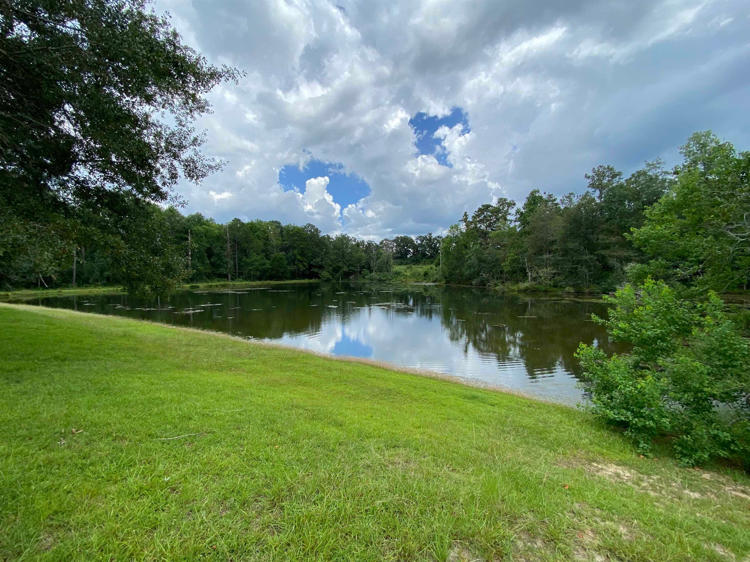 30764 Straughn School Road Andalusia, AL 36421 - Photo 20 of 26 Gallery Image 20