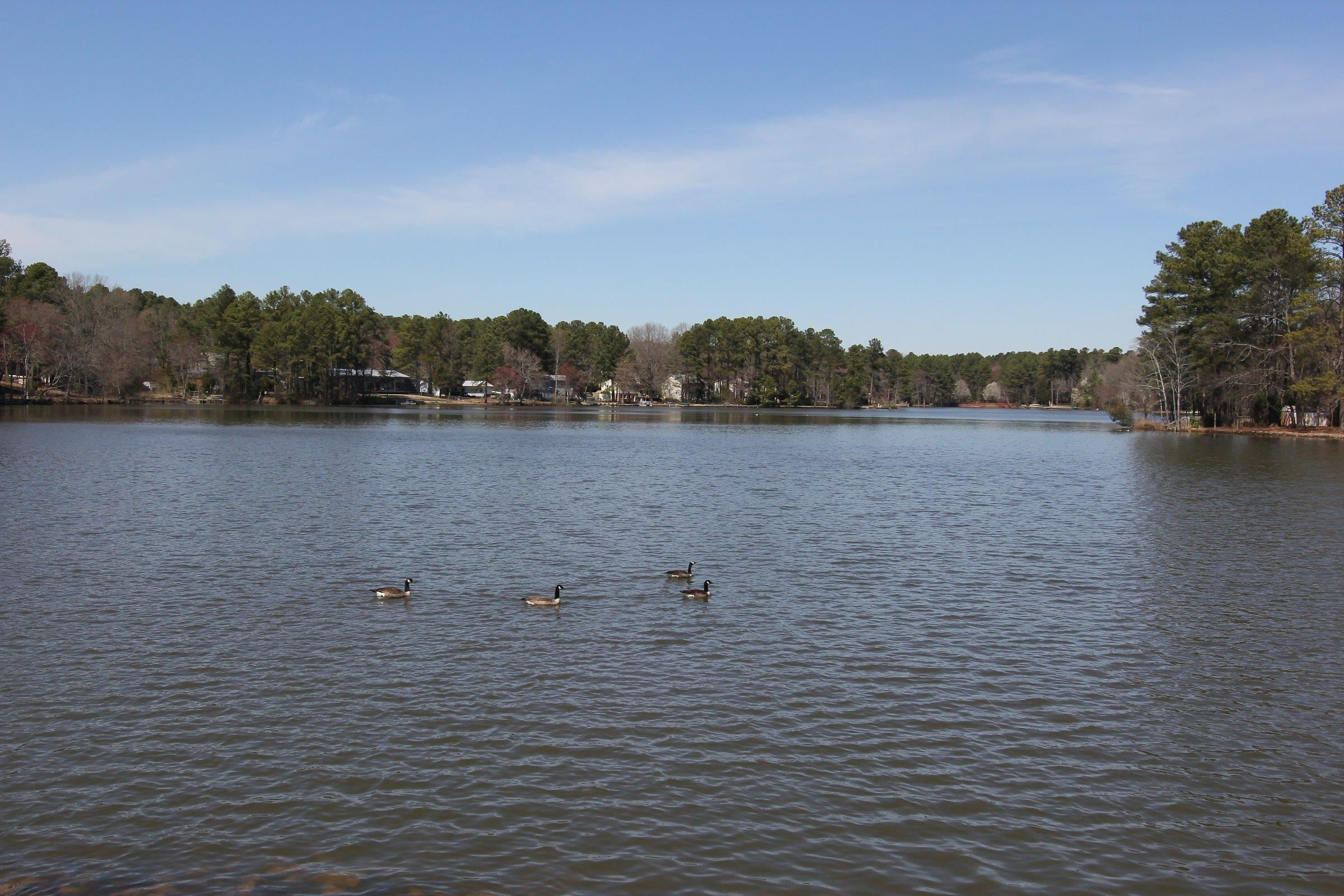 1227 Seaton Road, Unit 56 Durham, NC 27713 - Photo 28 of 30 a view of lake