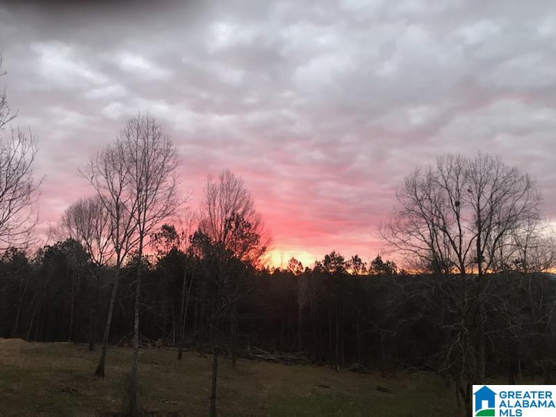 1180 Cox Cove Road Hayden, AL 35079 - Photo 2 of 15