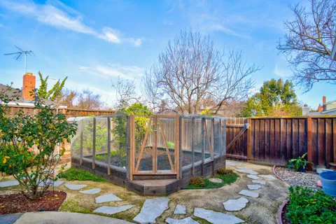 a view of a backyard with large trees and plants