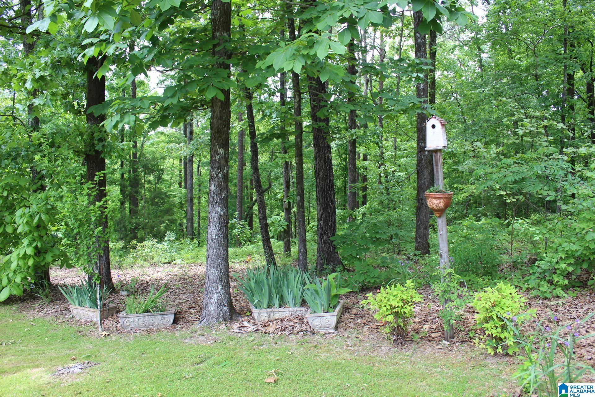 270 Duke School Road Wellington, AL 36279 - Photo 10 of 80