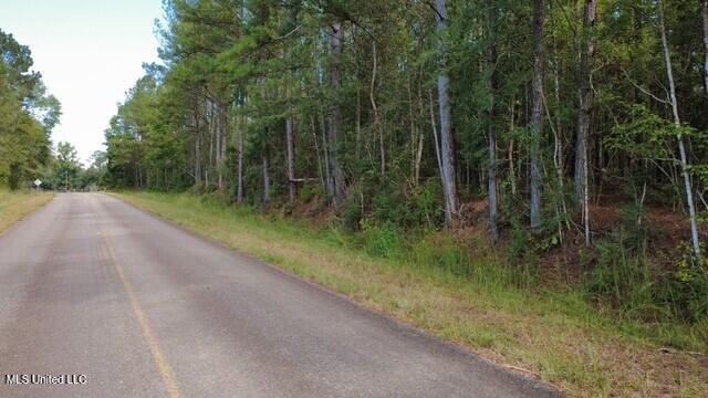 5464 A Pecan Orchard Road Liberty, MS 39645 - Photo 6 of 14 thumbnail_IMG_1527