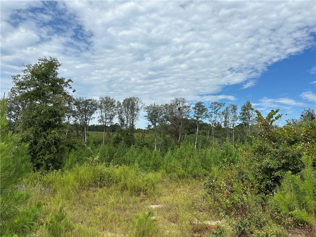Lot 7 Ridge Road Seale, AL 36875 - Photo 6 of 10 View of nature