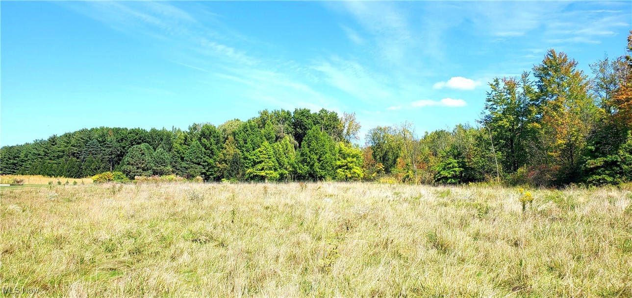 9415 Stone Road Litchfield, OH 44253 - Photo 24 of 28 View of backyard.