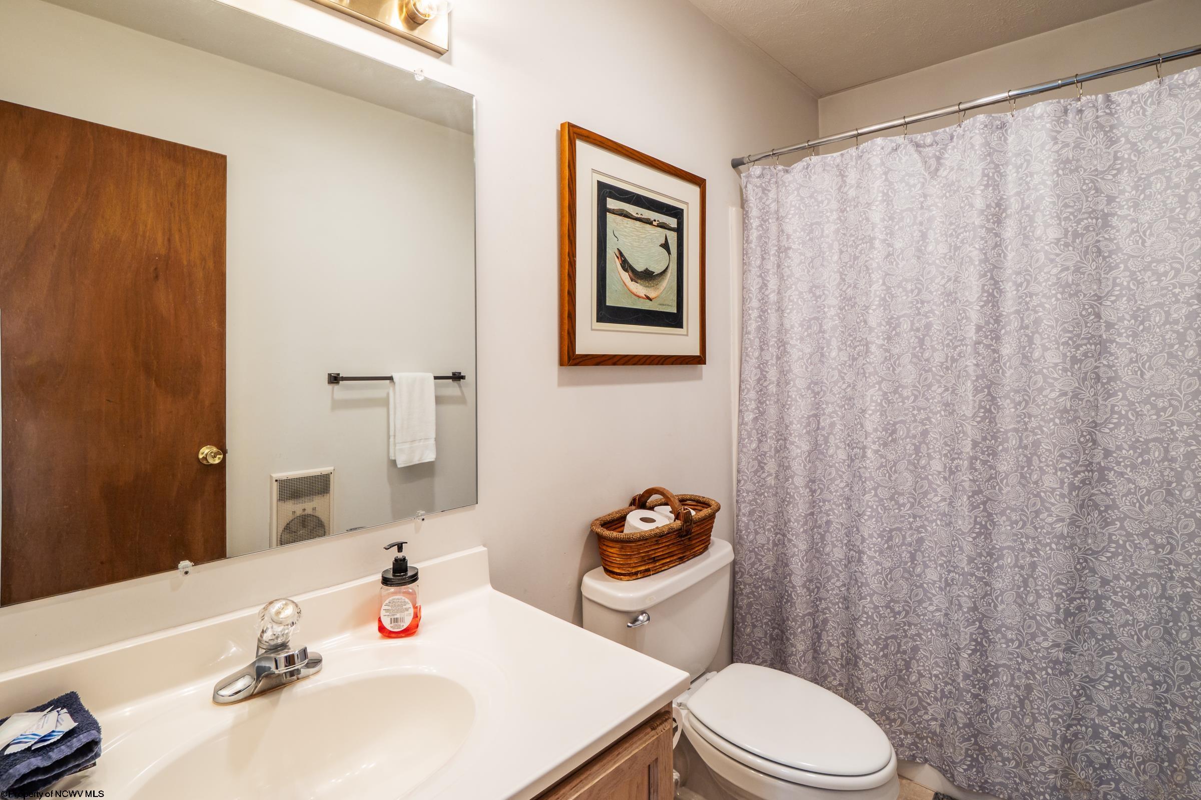 699 Ridge Road Davis, WV 26260 - Photo 18 of 48 Gallery Image 18