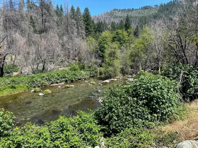 $60,000 | 5680 Seneca Road, Canyon Dam, CA 95923