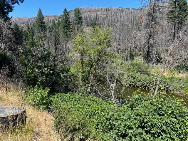 $60,000 | 5680 Seneca Road, Canyon Dam, CA 95923