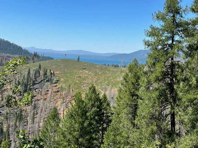 $60,000 | 5680 Seneca Road, Canyon Dam, CA 95923