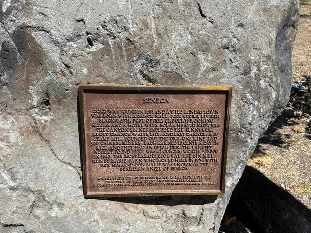 $60,000 | 5680 Seneca Road, Canyon Dam, CA 95923