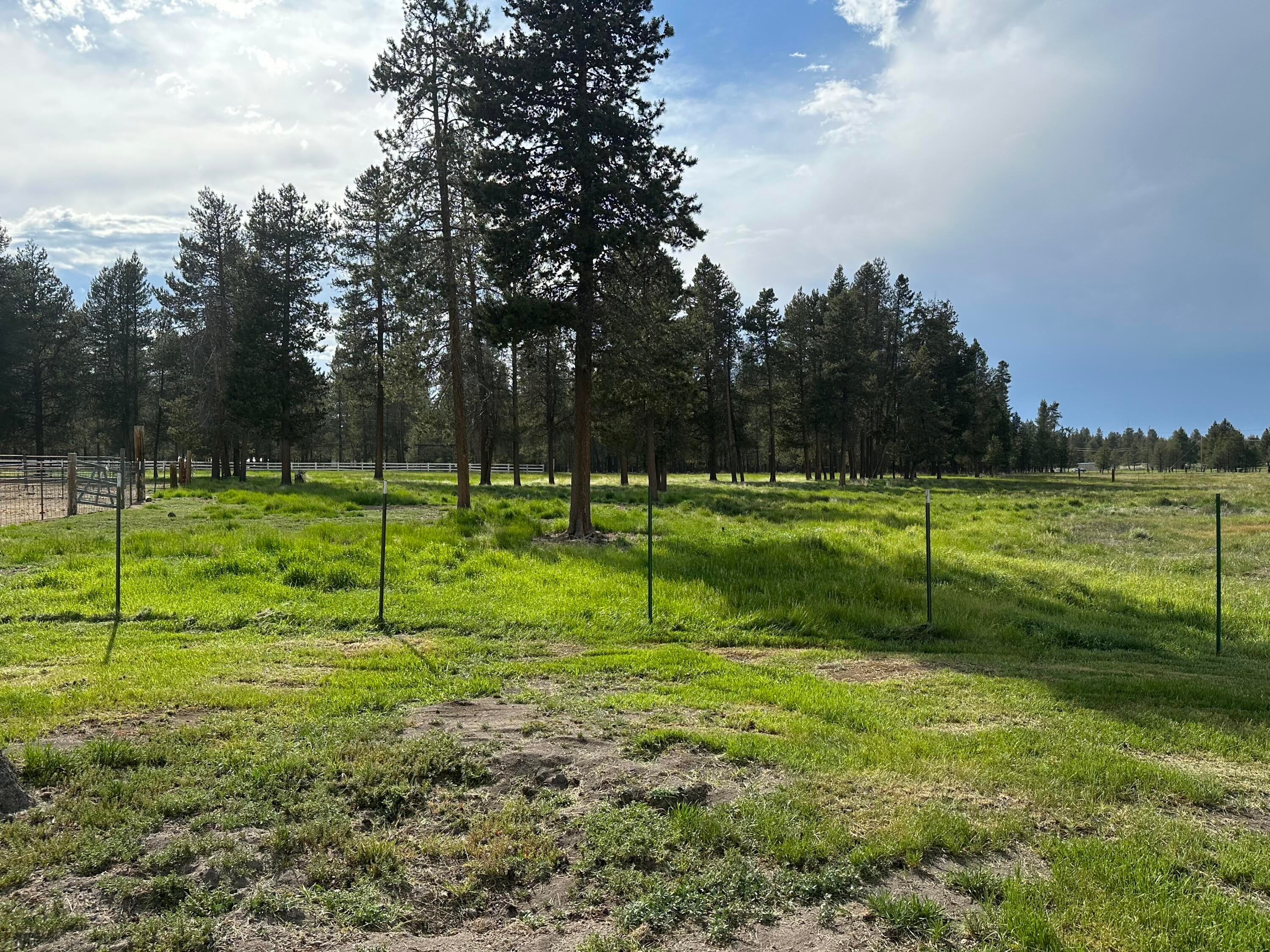 9241 Split Rail Road La Pine, OR 97739 - Photo 32 of 57 Pasture