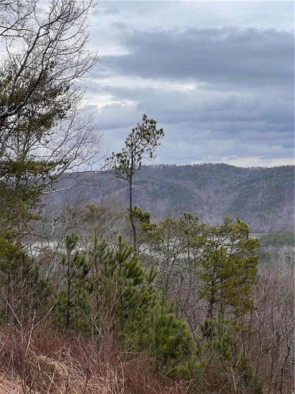 278 Carters Overlook Drive Ranger, GA 30734 - Photo 15 of 17 Gallery Image 15