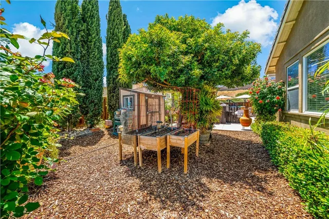a living room with patio furniture and a potted plant