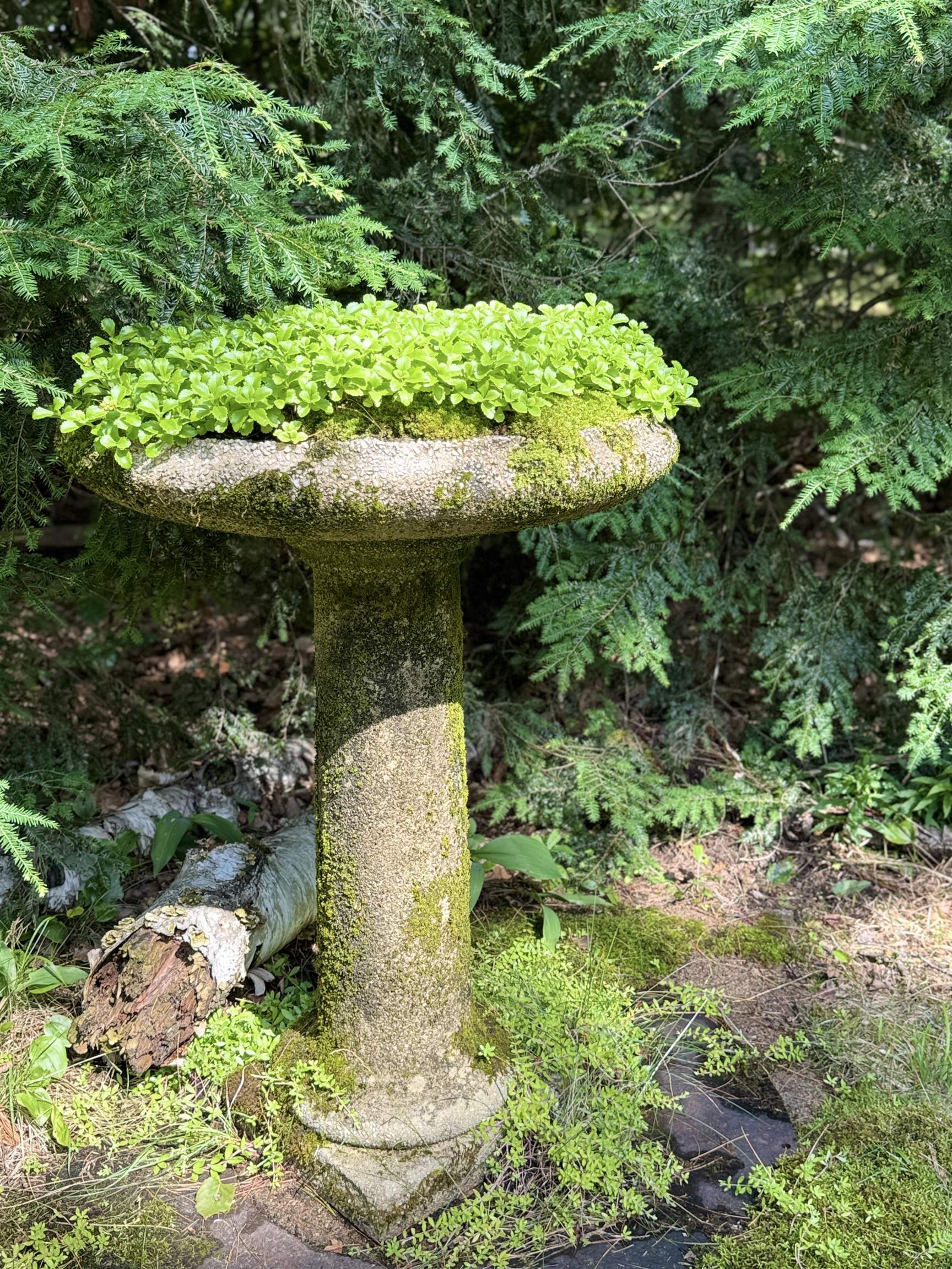 44 Neighbors Row Conway, NH 03860 - Photo 48 of 54