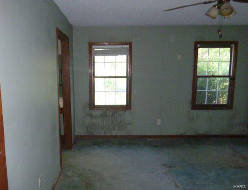 11854 Catholic Cemetery Road Glenarm, IL 62536 - Photo 9 of 9