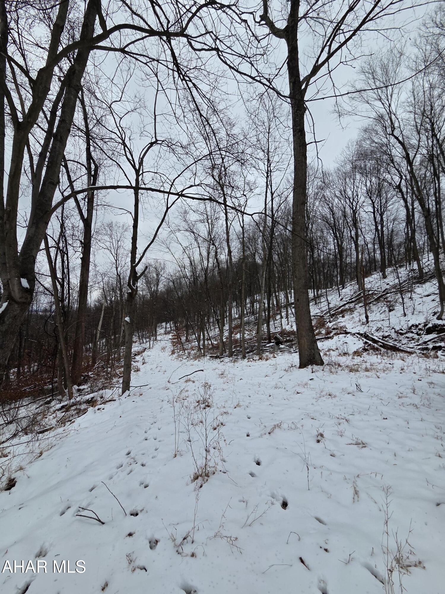0 Sugar Ridge Road McVeytown, PA 17051 - Photo 10 of 12