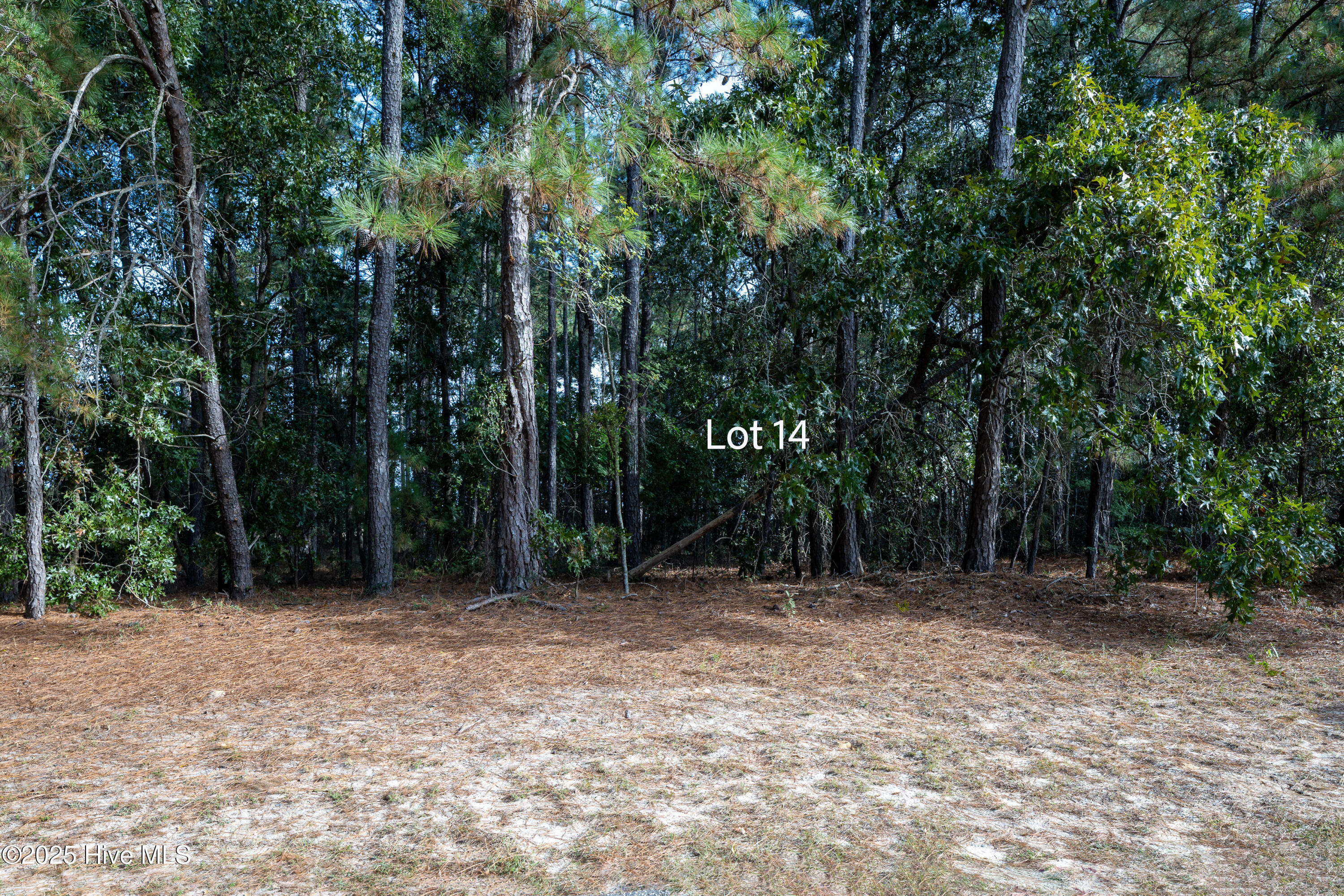 14 Old Tom Morris Road Garland, NC 28441 - Photo 3 of 4 Lot 14.2