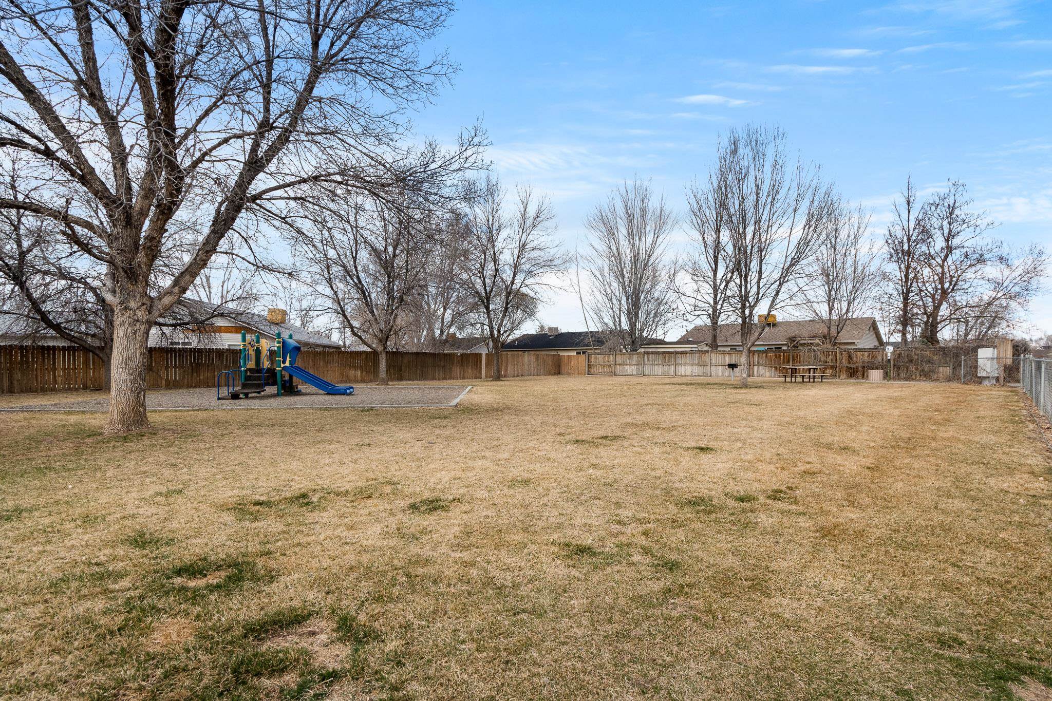 1456 Sagittarius Street Fruita, CO 81521 - Photo 19 of 19 a view of yard covered with snow