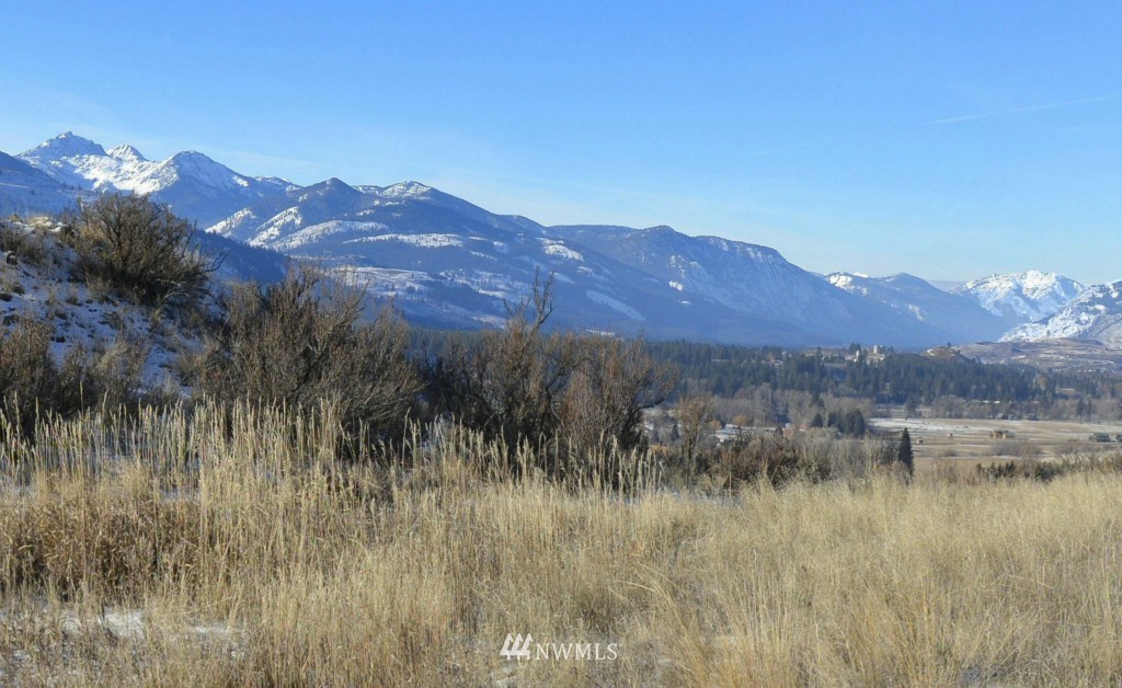 -xxx Prospect Road Winthrop, WA 98862 - Photo 1 of 1 Gallery Image 1