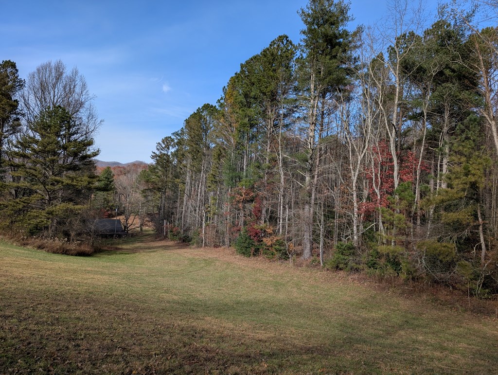 2 Mr Bert Road Hiawassee, GA 30546 - Photo 2 of 11 a view of a field with trees in the background