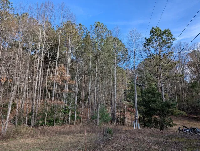 $84,900 | 2 Mr Bert Road, Hiawassee, GA 30546
