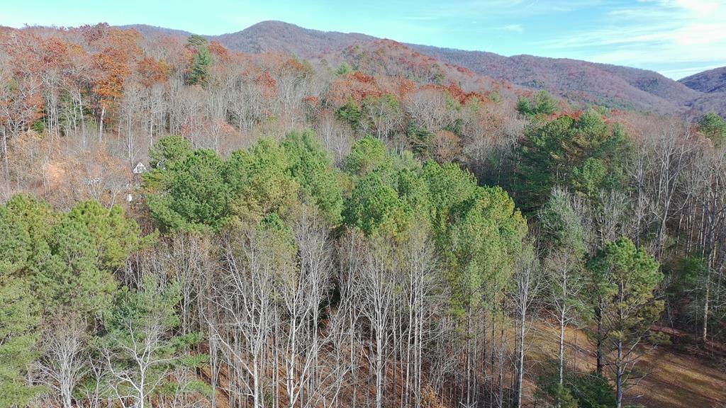 2 Mr Bert Road Hiawassee, GA 30546 - Photo 9 of 11 a view of a lush green hillside and a building