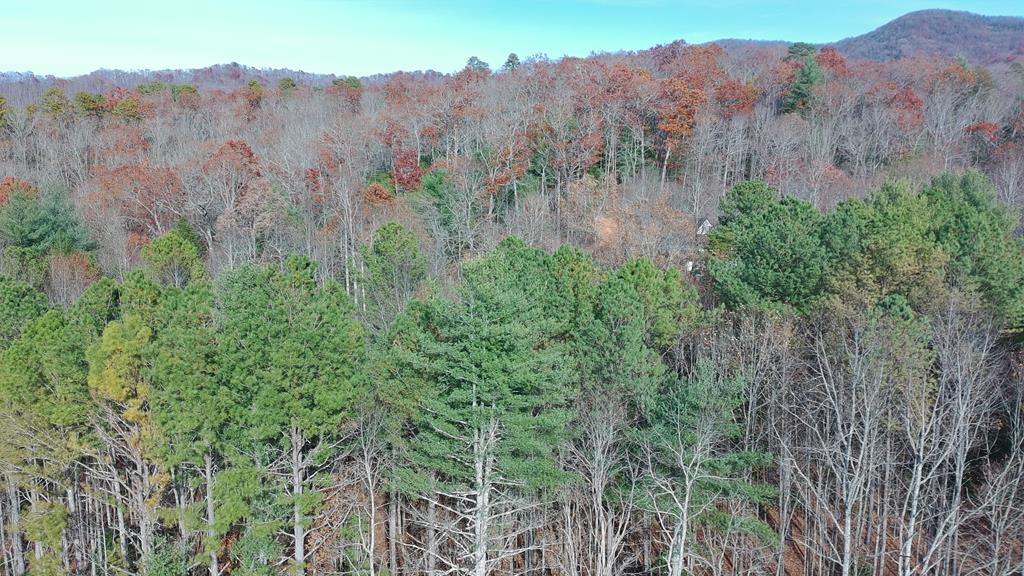 2 Mr Bert Road Hiawassee, GA 30546 - Photo 10 of 11 an aerial view of a houses with a lush green hillside