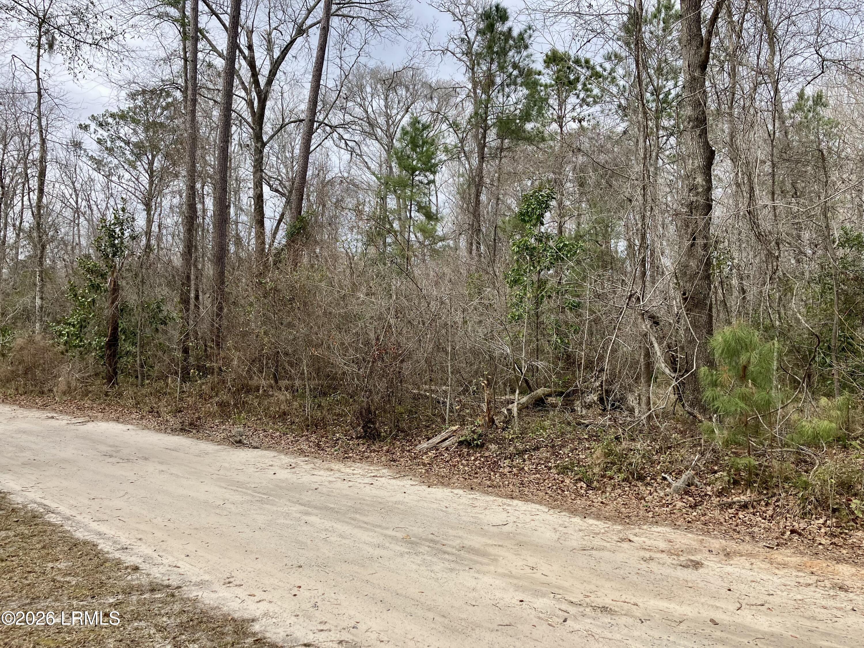 0 Delta Estates Road Hardeeville, SC 29927 - Photo 2 of 6 2