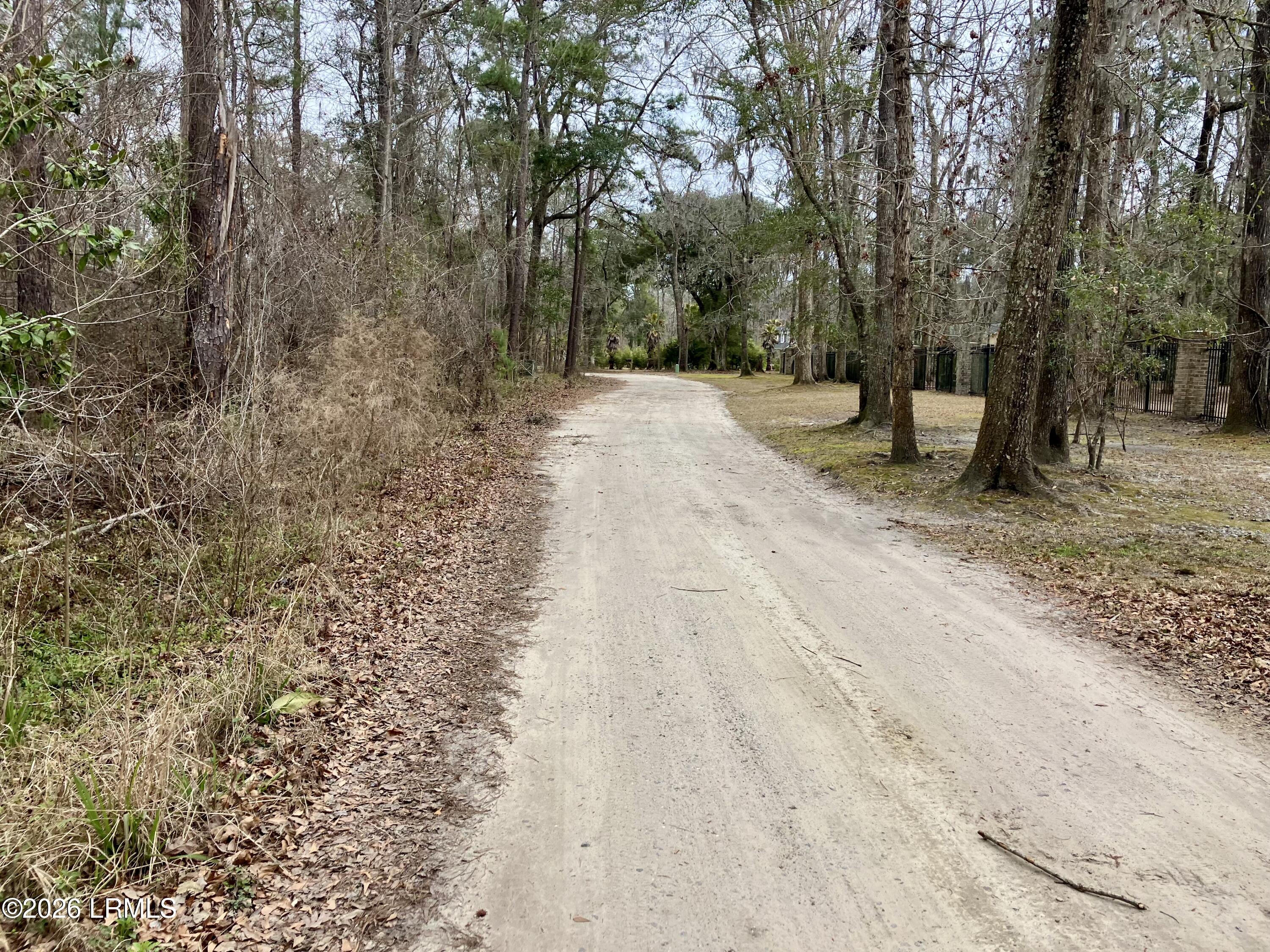 0 Delta Estates Road Hardeeville, SC 29927 - Photo 3 of 6 3