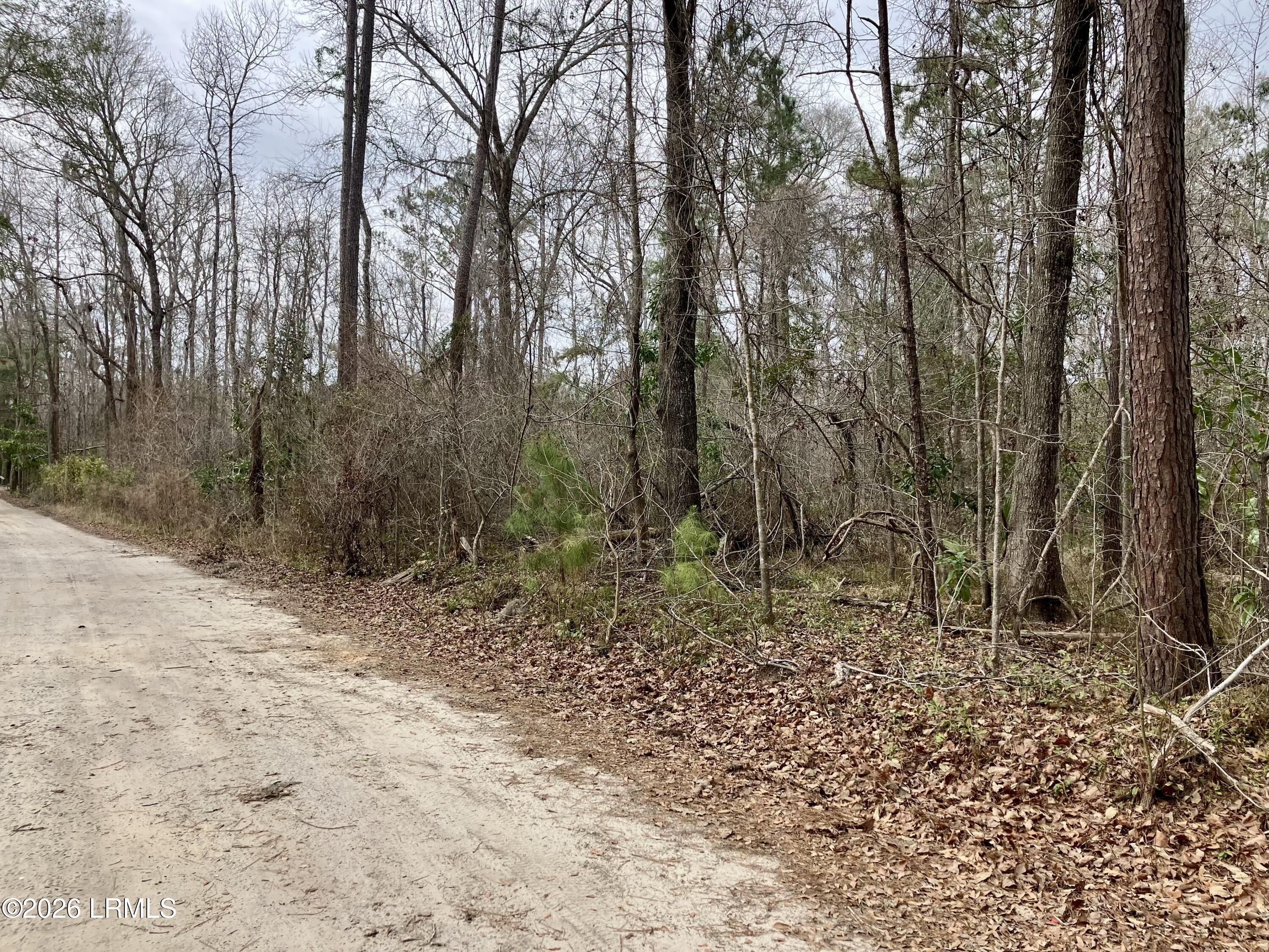 0 Delta Estates Road Hardeeville, SC 29927 - Photo 4 of 6 4