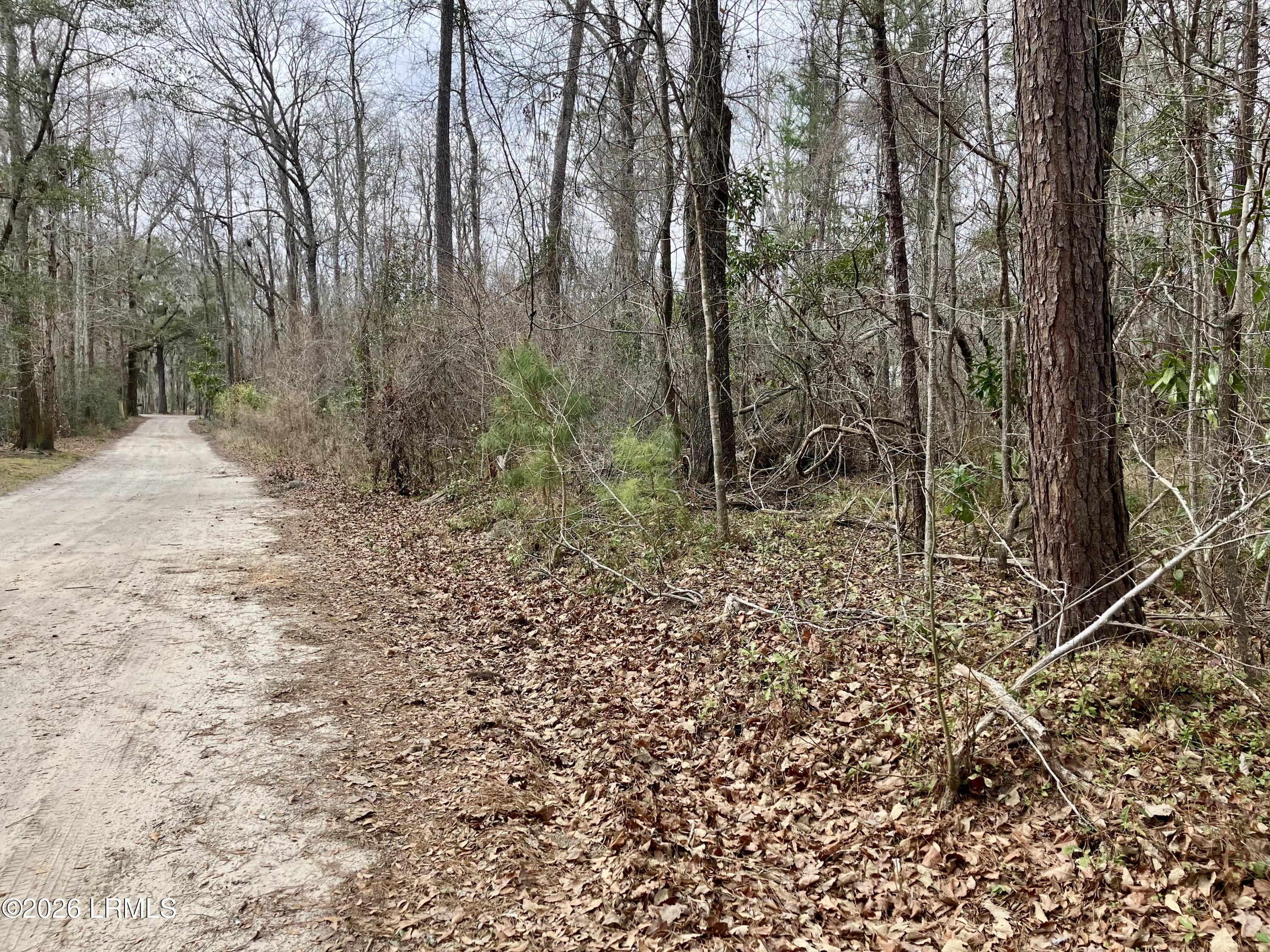 0 Delta Estates Road Hardeeville, SC 29927 - Photo 5 of 6 IMG_1400