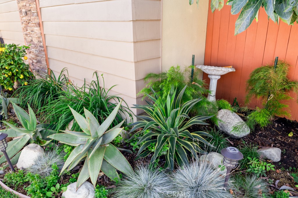 2425 Heather Avenue Long Beach, CA 90815 - Photo 4 of 56 Beautiful Landscape