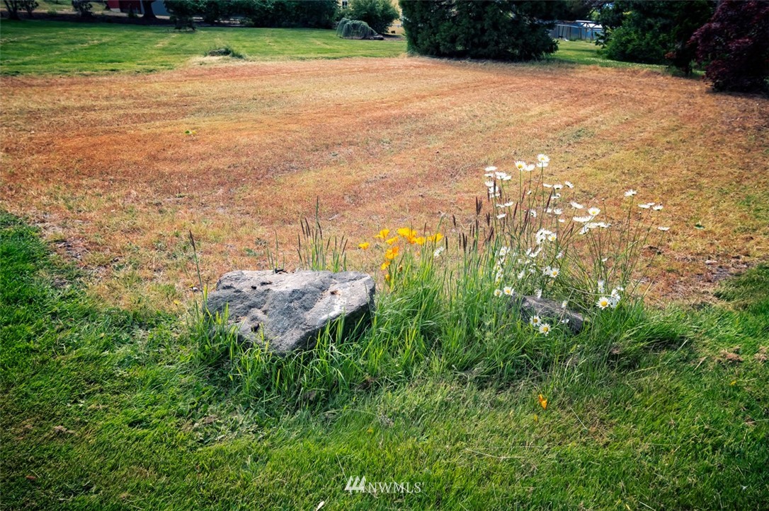 322 O Brien Road Port Angeles, WA 98362 - Photo 28 of 37 a backyard of a house with lots of green space