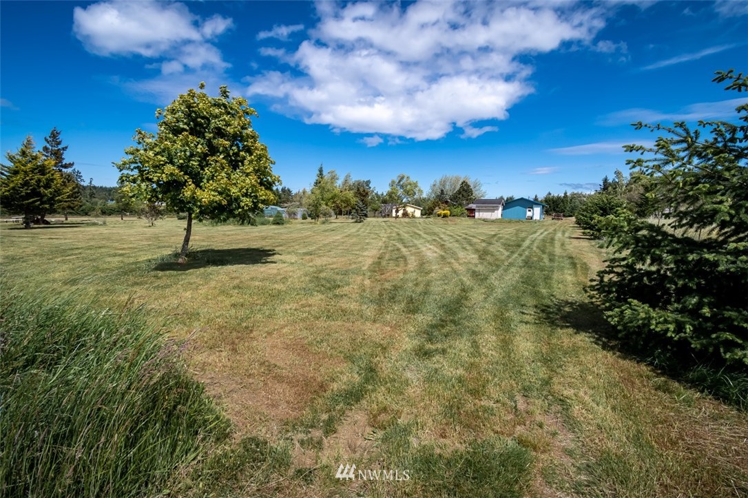 322 O Brien Road Port Angeles, WA 98362 - Photo 30 of 37 a view of a yard with a tree