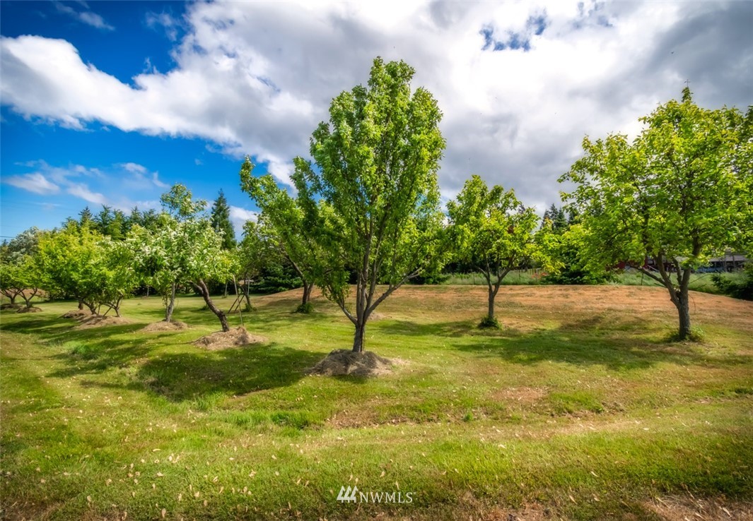 322 O Brien Road Port Angeles, WA 98362 - Photo 4 of 37 a view of yard