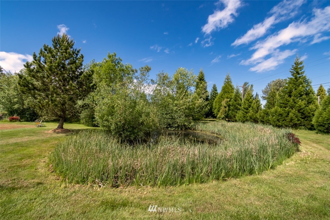322 O Brien Road Port Angeles, WA 98362 - Photo 34 of 37 a view of a yard