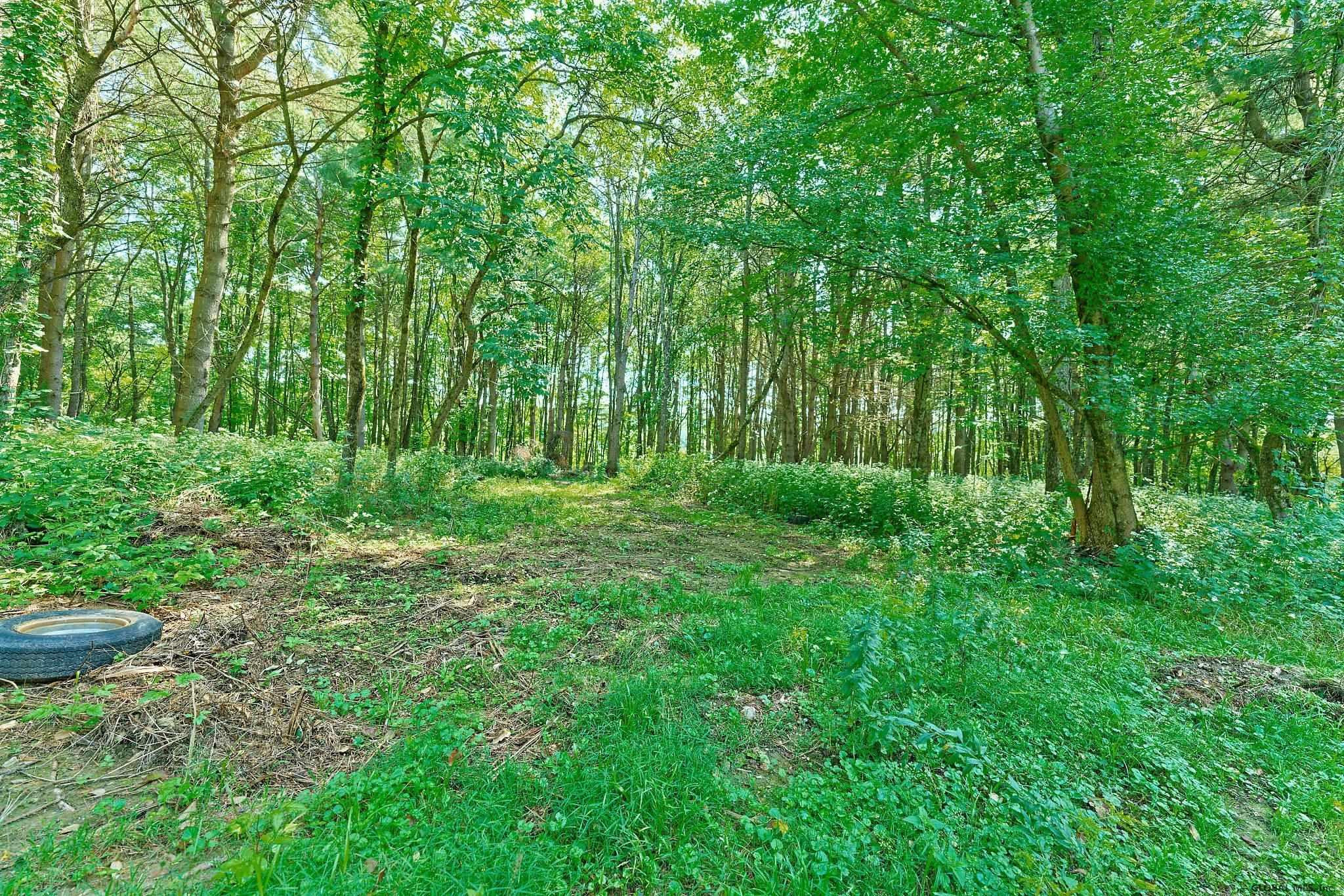 42 East Lake Road Cossayuna, NY 12823 - Photo 41 of 52 Photo 41