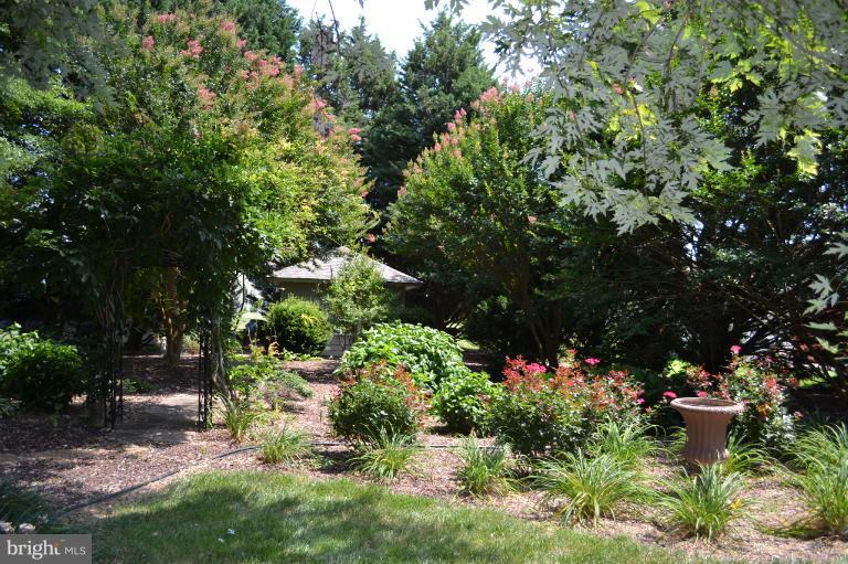 84 Pine Valley Road Elkton, MD 21921 - Photo 9 of 30 Enjoy the serene atmosphere of your back yard