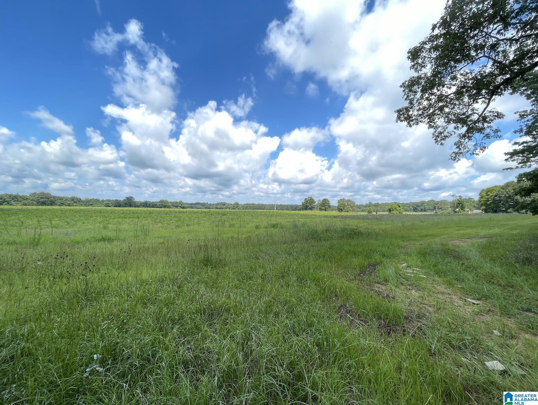 0 Sun Valley Road, Unit 1 Harpersville, AL 35078 - Photo 8 of 9