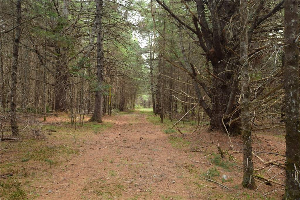 Off Off Arthur Road Wytopitlock, ME 04497 - Photo 19 of 29 Photo