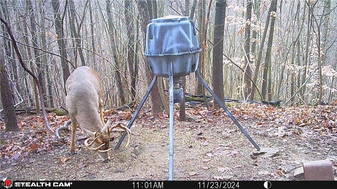 Boone Road Kimbolton, OH 43749 - Photo 23 of 30