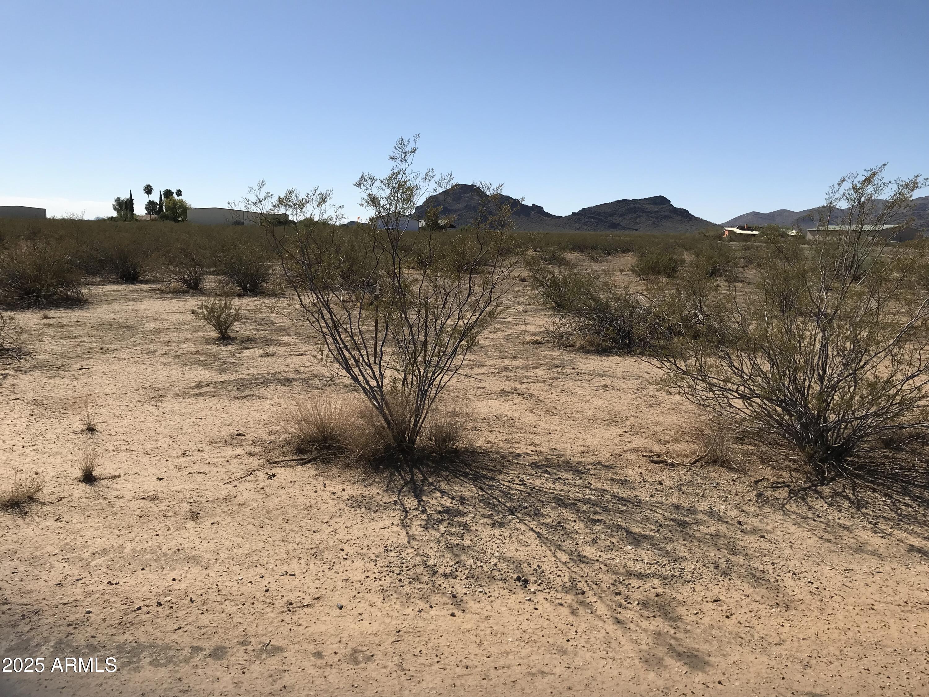 a view of a dry field with trees in the background