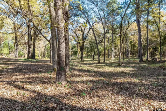 a view of outdoor space with trees