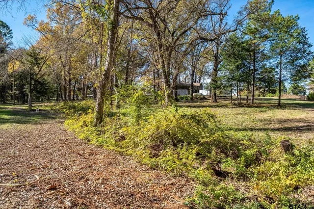 a view of a yard with swimming pool