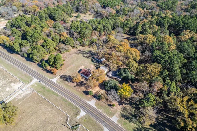 a view of a garden with a plant