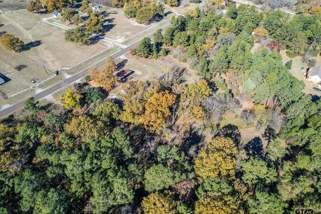 a view of a yard with plants and lake view