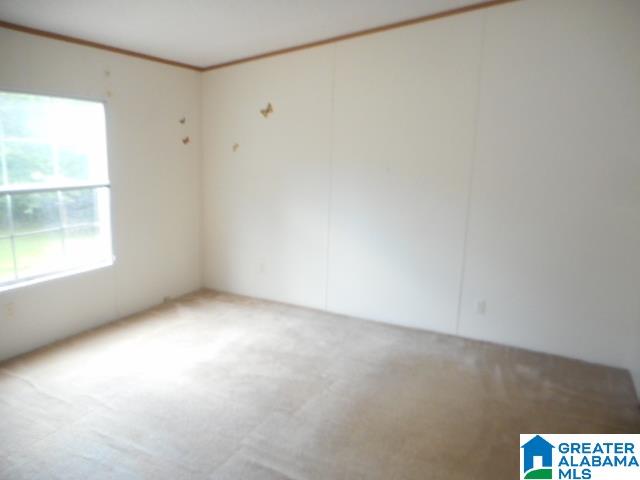 1641 Sprayberry Road Pell City, AL 35125 - Photo 5 of 10