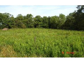1134 Splinter Ridge Road Spencer, IN 47460 - Photo 1 of 5