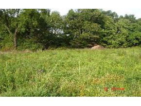1134 Splinter Ridge Road Spencer, IN 47460 - Photo 2 of 5